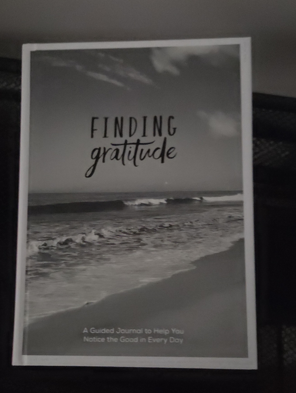 Finding Gratitude Guided Journal